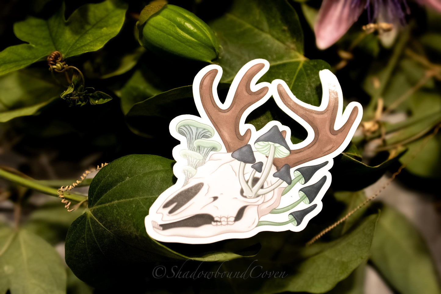 Mushroom Deer Skull -  Waterproof Vinyl Sticker