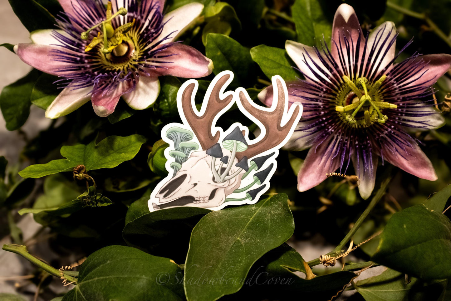 Mushroom Deer Skull -  Waterproof Vinyl Sticker